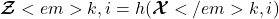 \[\boldsymbol{\mathcal Z}<em>{k, i} = h(\boldsymbol{\mathcal X}</em>{k, i})\]